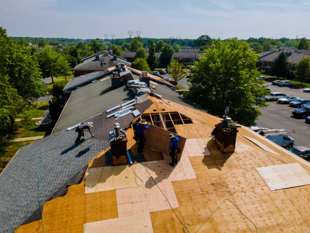 Best Flat Roof Repair Services  in East St Louis, IL