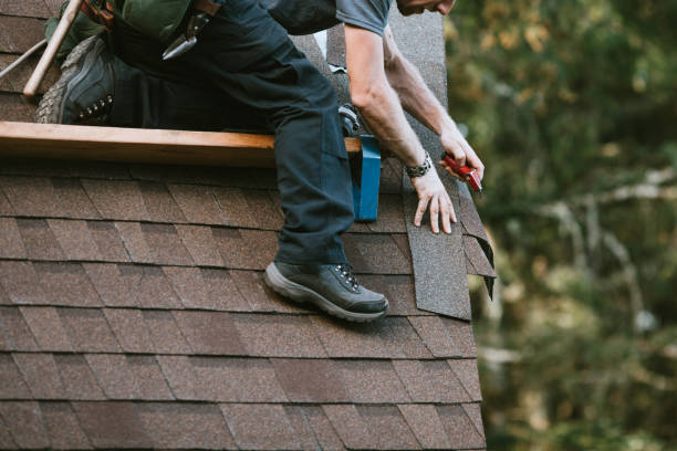 Best Roof Maintenance Services  in East St Louis, IL