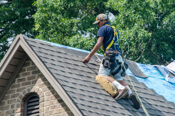 Quick and Trustworthy Emergency Roof Repair Services in East St Louis, IL